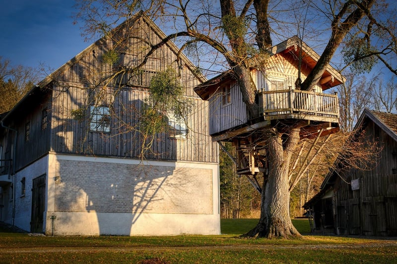 Treehouse glamping experience